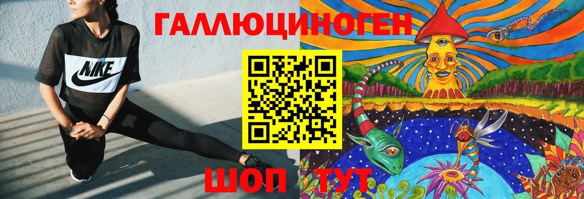 Галлюциногенные грибы Cubensis  где продают   Северск  Вход с VPN 