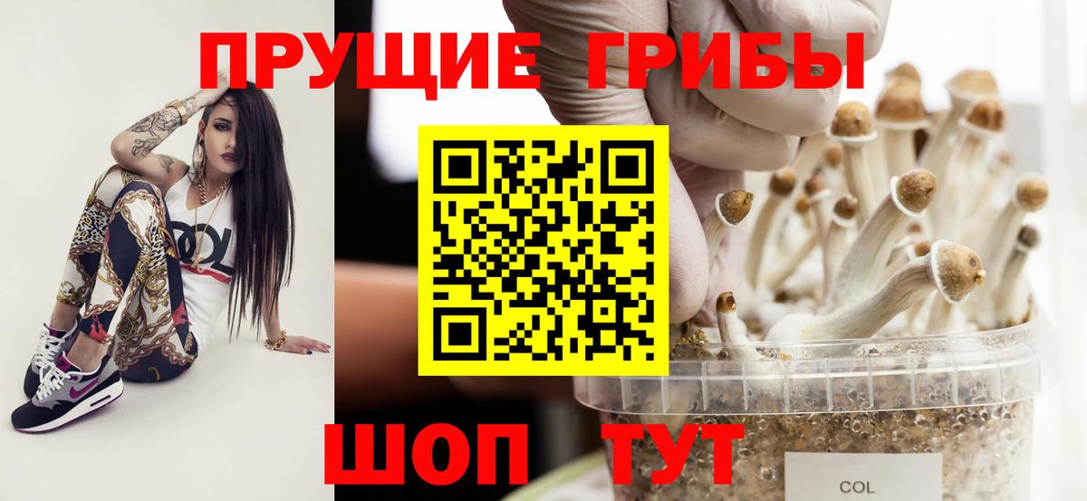 Псилоцибиновые грибы Magic Shrooms Северск